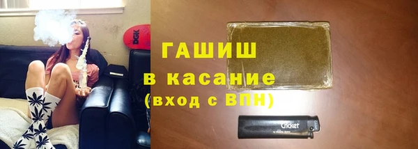 прущие грибы Нижний Тагил