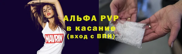 прущие грибы Семикаракорск