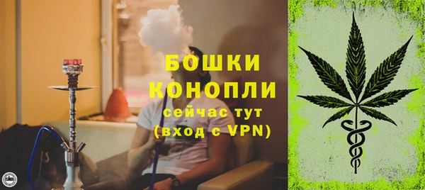 прущие грибы Нижний Тагил